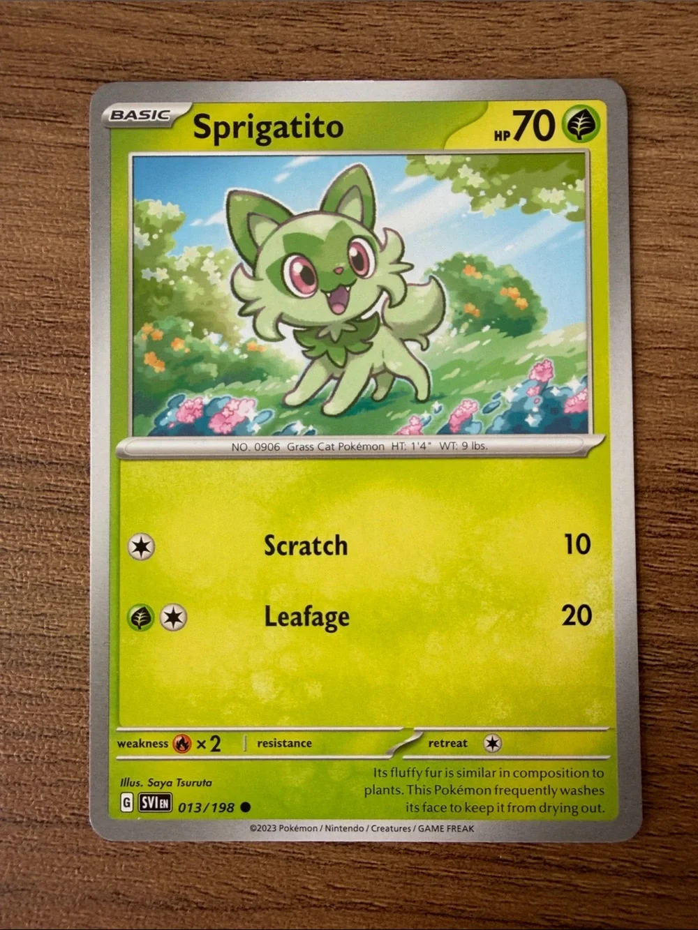 🐱 Cat Pokémon Card Lot | Sprigatito Litten Meowth Perrserker ✨5/$25✨